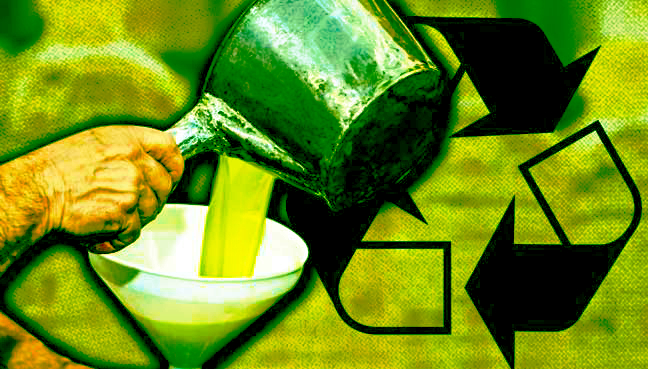 Impacto del ACU en la fauna y flora